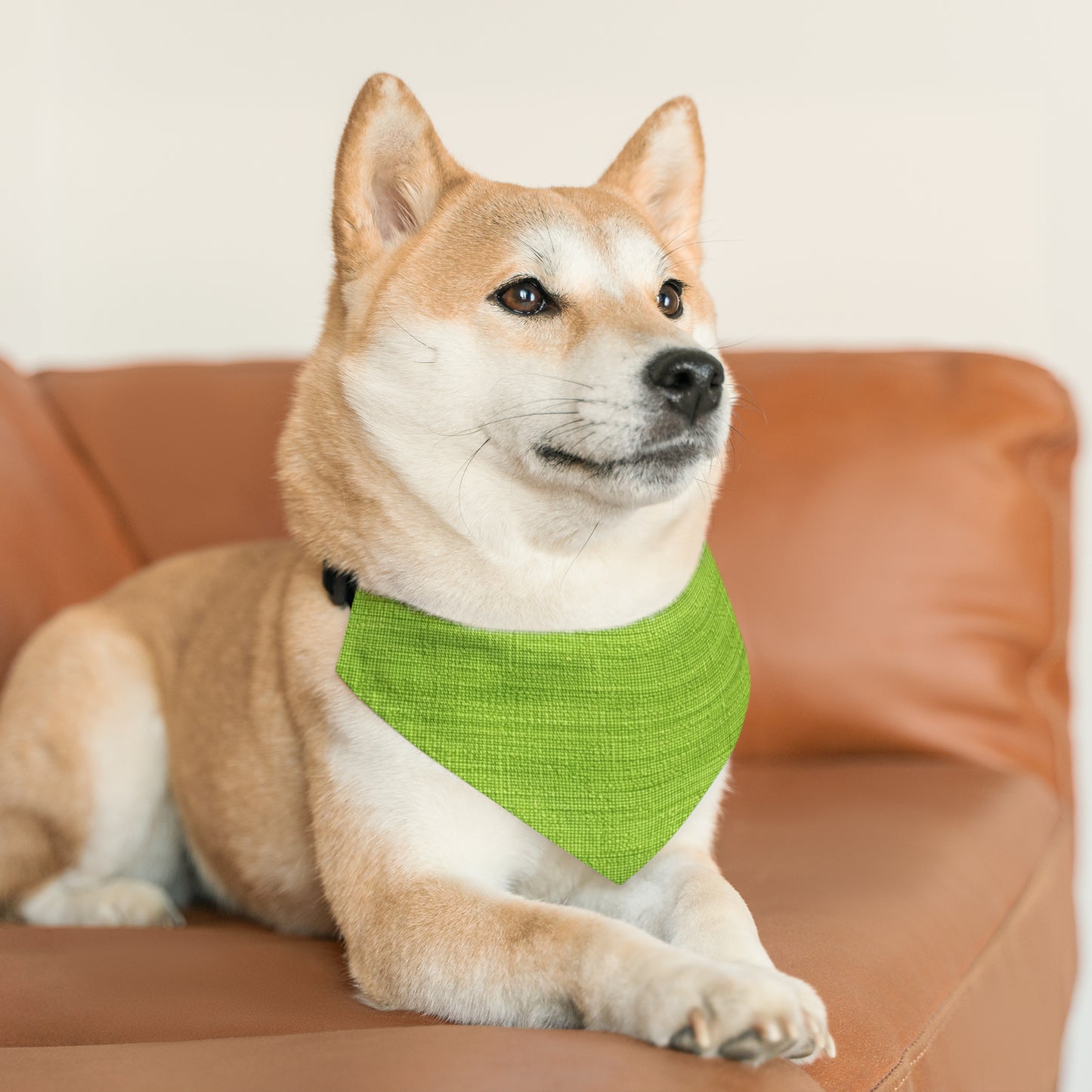 Lush Grass Neon Green: Denim-Inspired, Springtime Fabric Style - Dog & Pet Bandana Collar