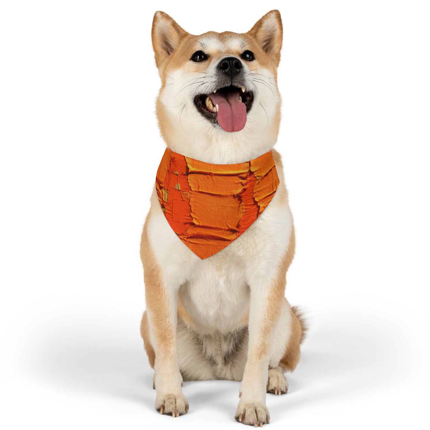 Fiery Citrus Orange: Edgy Distressed, Denim-Inspired Fabric - Dog & Pet Bandana Collar