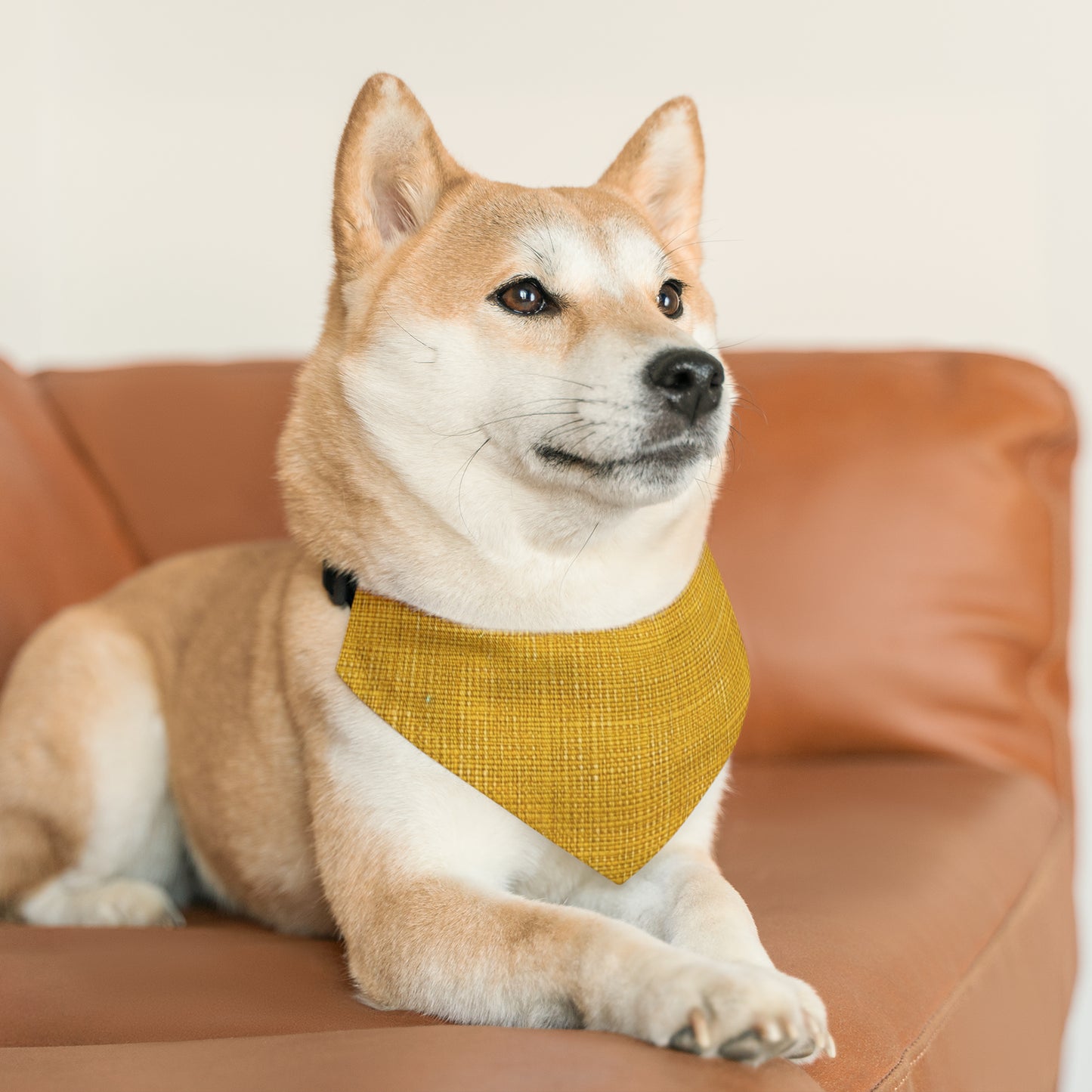 Radiant Sunny Yellow: Denim-Inspired Summer Fabric - Dog & Pet Bandana Collar