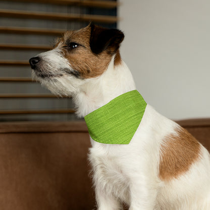 Lush Grass Neon Green: Denim-Inspired, Springtime Fabric Style - Dog & Pet Bandana Collar