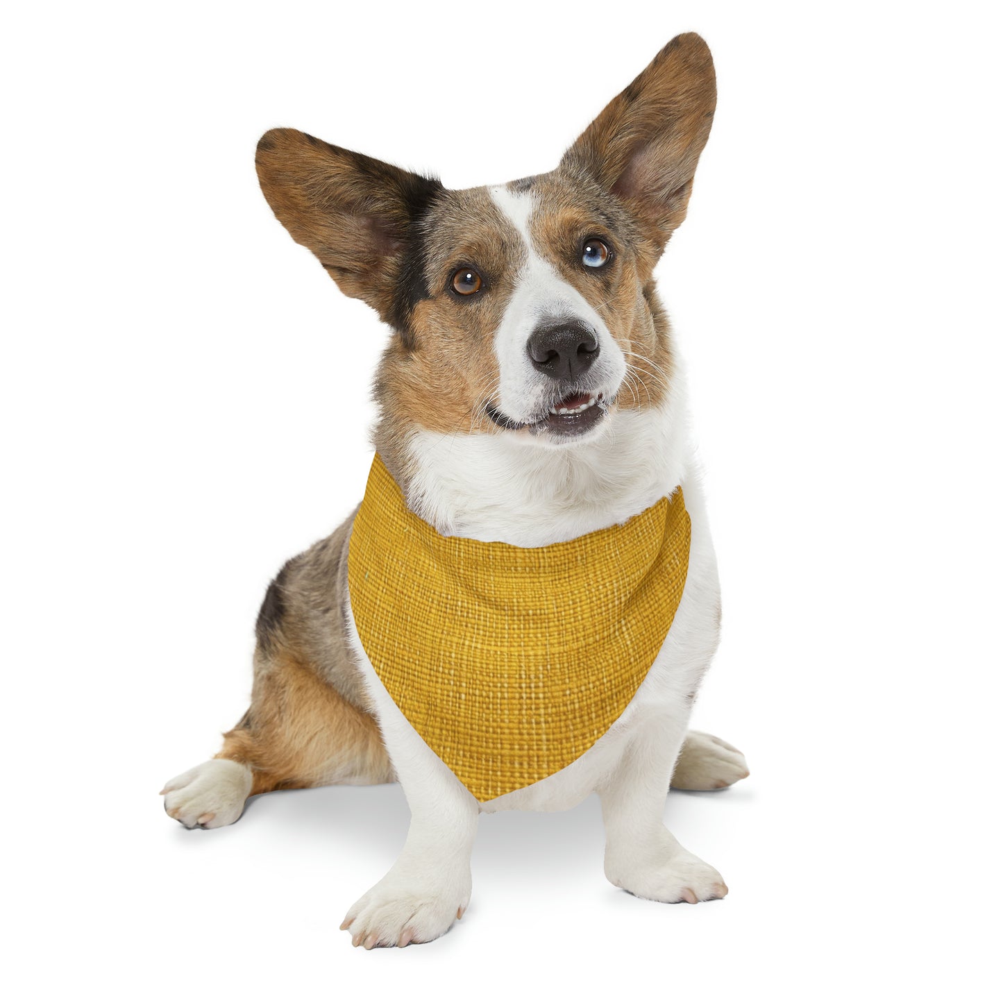 Radiant Sunny Yellow: Denim-Inspired Summer Fabric - Dog & Pet Bandana Collar