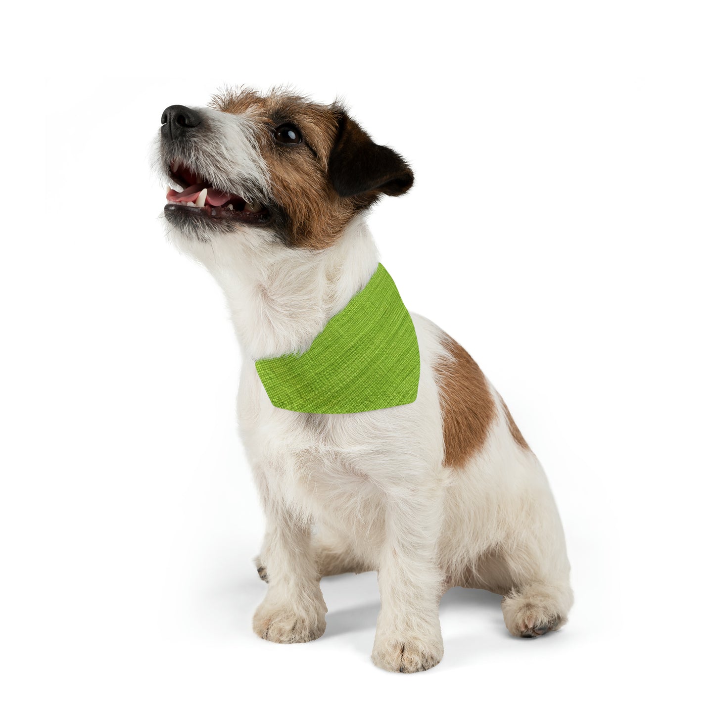 Lush Grass Neon Green: Denim-Inspired, Springtime Fabric Style - Dog & Pet Bandana Collar