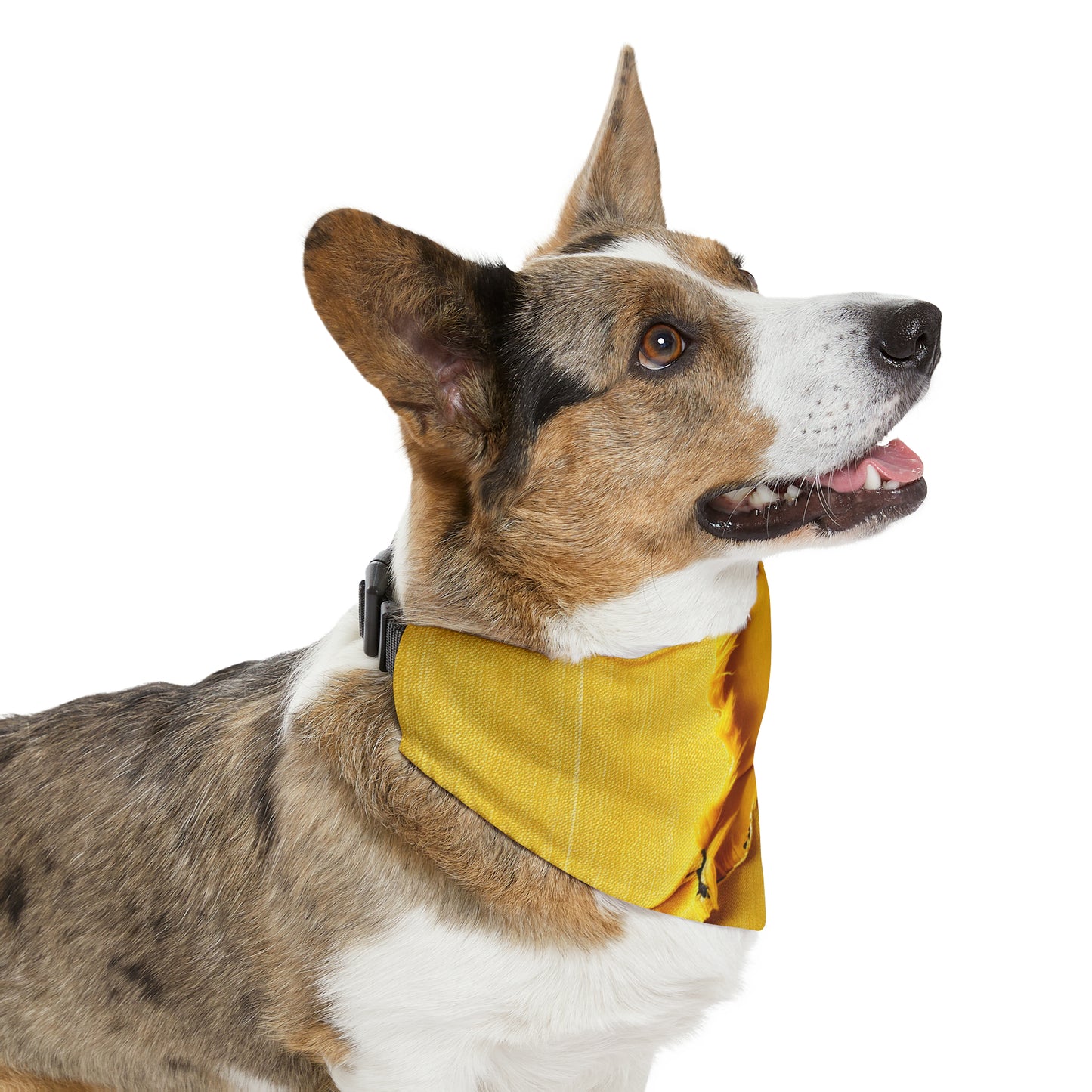 Banana Yellow Lemon: Bold Distressed, Denim-Inspired Fabric - Dog & Pet Bandana Collar