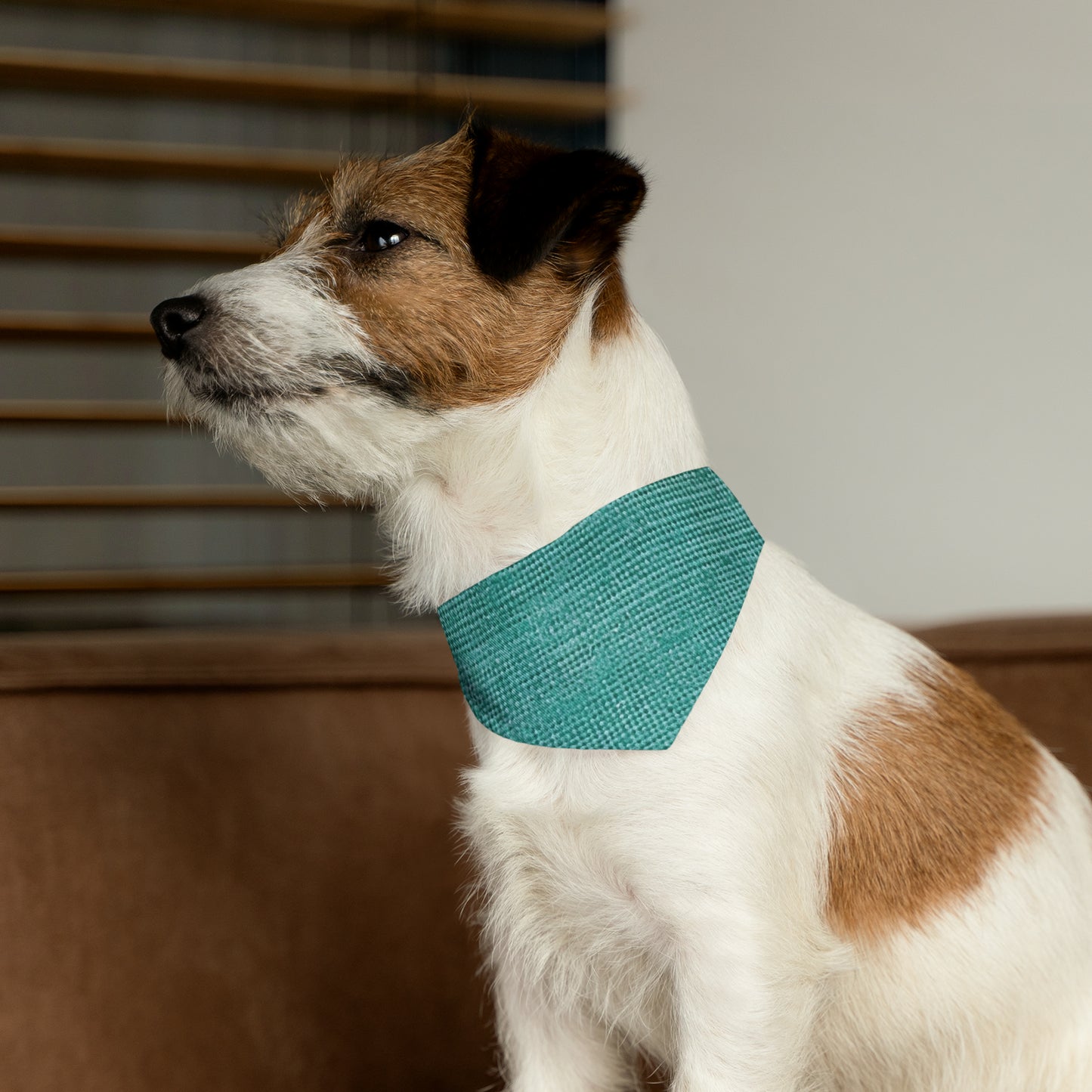 Diseño de tela vaquera color turquesa menta de calidad, material elegante, collar tipo bandana para mascotas 