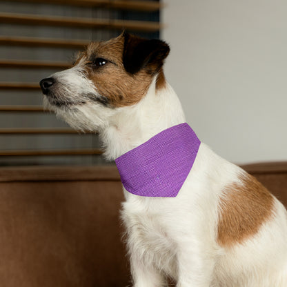 Hyper Iris Orchid Red: Denim-Inspired, Bold Style - Pet Bandana Collar