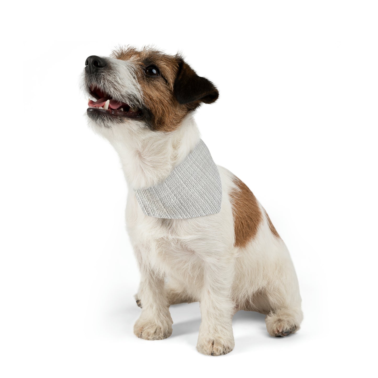 Chic White Denim-Style Fabric, Luxurious & Stylish Material - Dog & Pet Bandana Collar