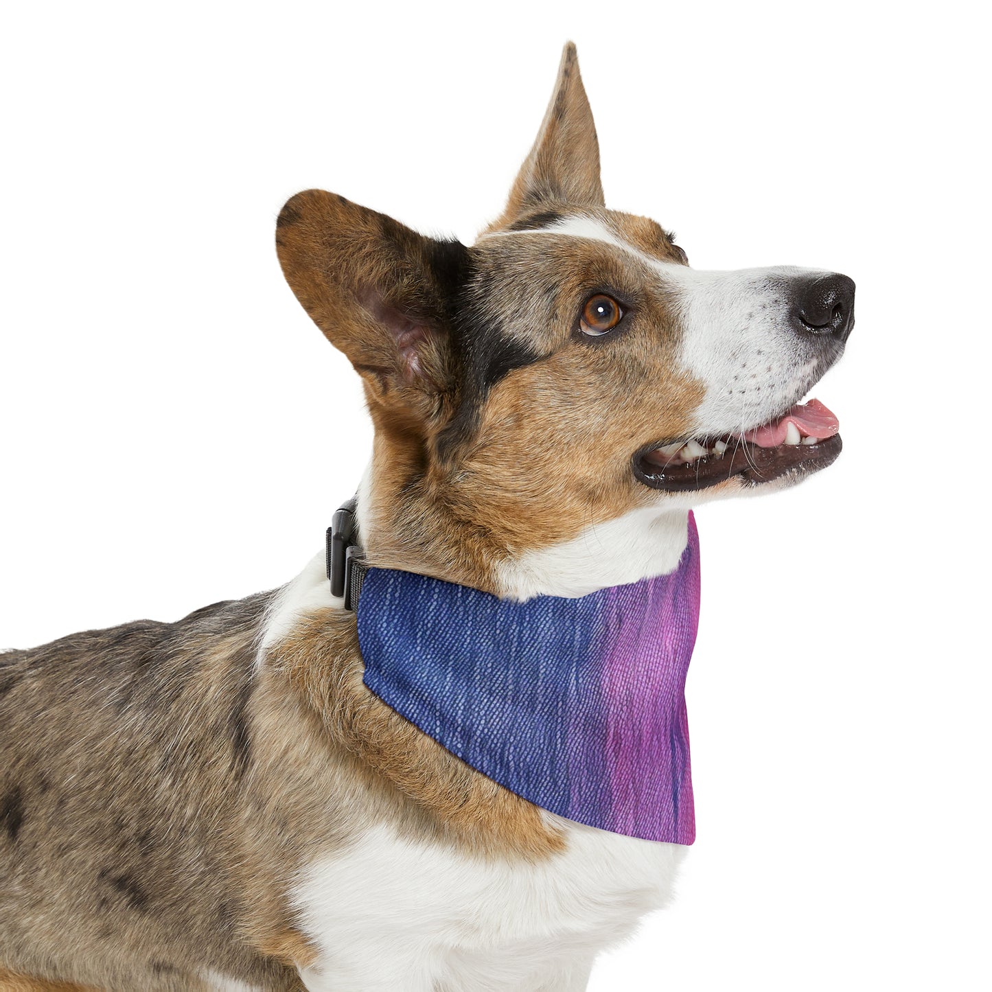 Dual Delight: Half-and-Half Pink & Blue Denim Daydream - Dog & Pet Bandana Collar