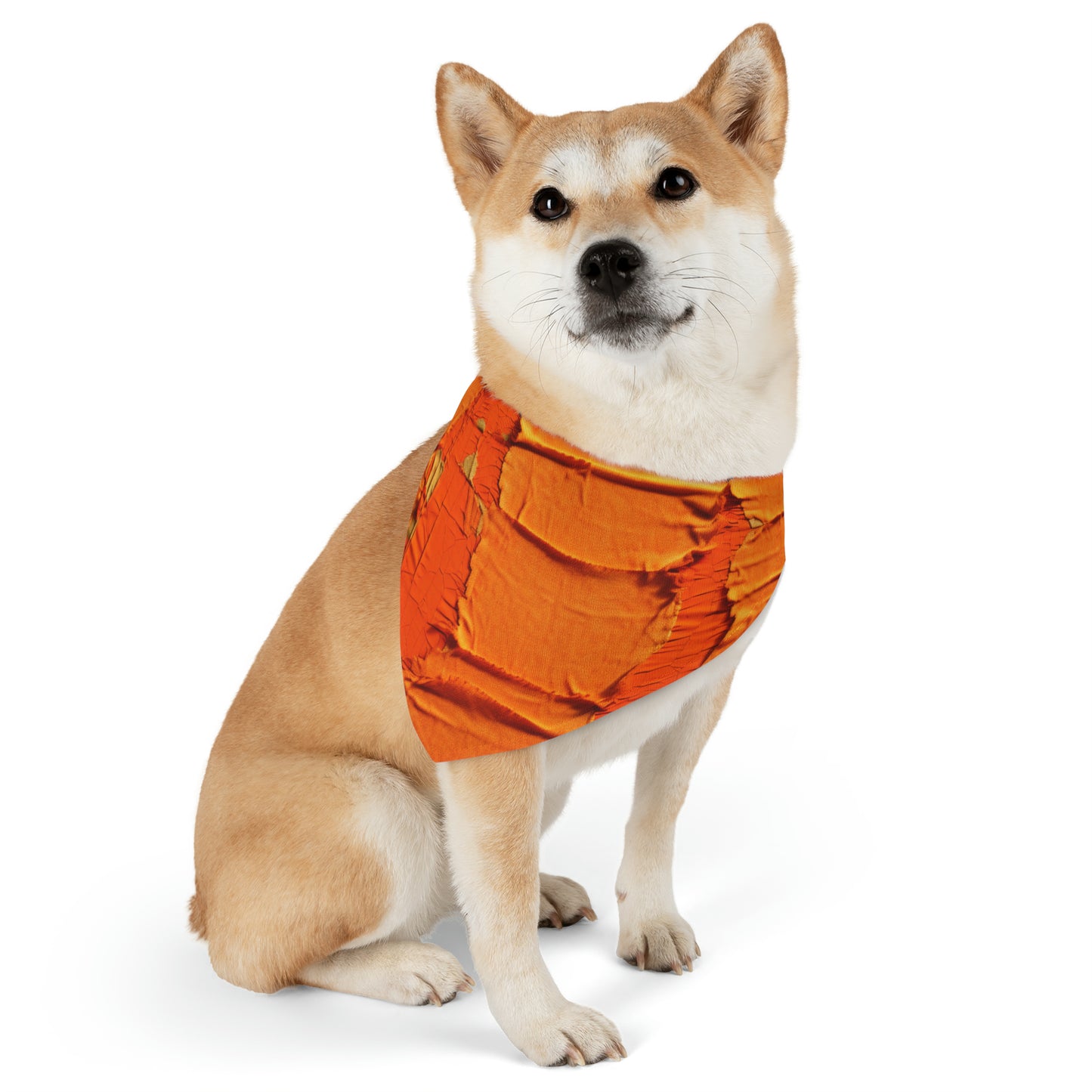 Fiery Citrus Orange: Edgy Distressed, Denim-Inspired Fabric - Dog & Pet Bandana Collar