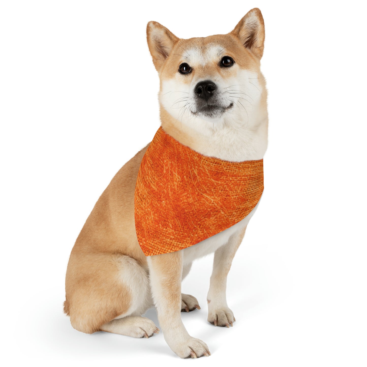 Burnt Orange/Rust: Denim-Inspired Autumn Fall Color Fabric - Pet Bandana Collar