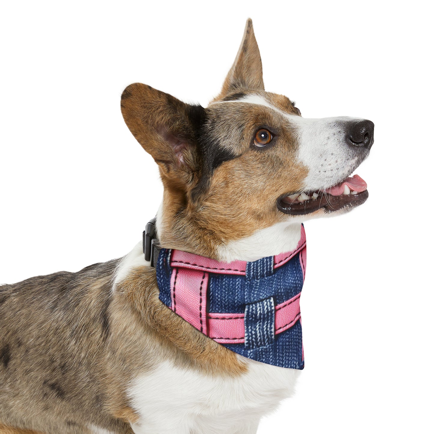 Candy-Striped Crossover: Pink Denim Ribbons Dancing on Blue Stage - Dog & Pet Bandana Collar