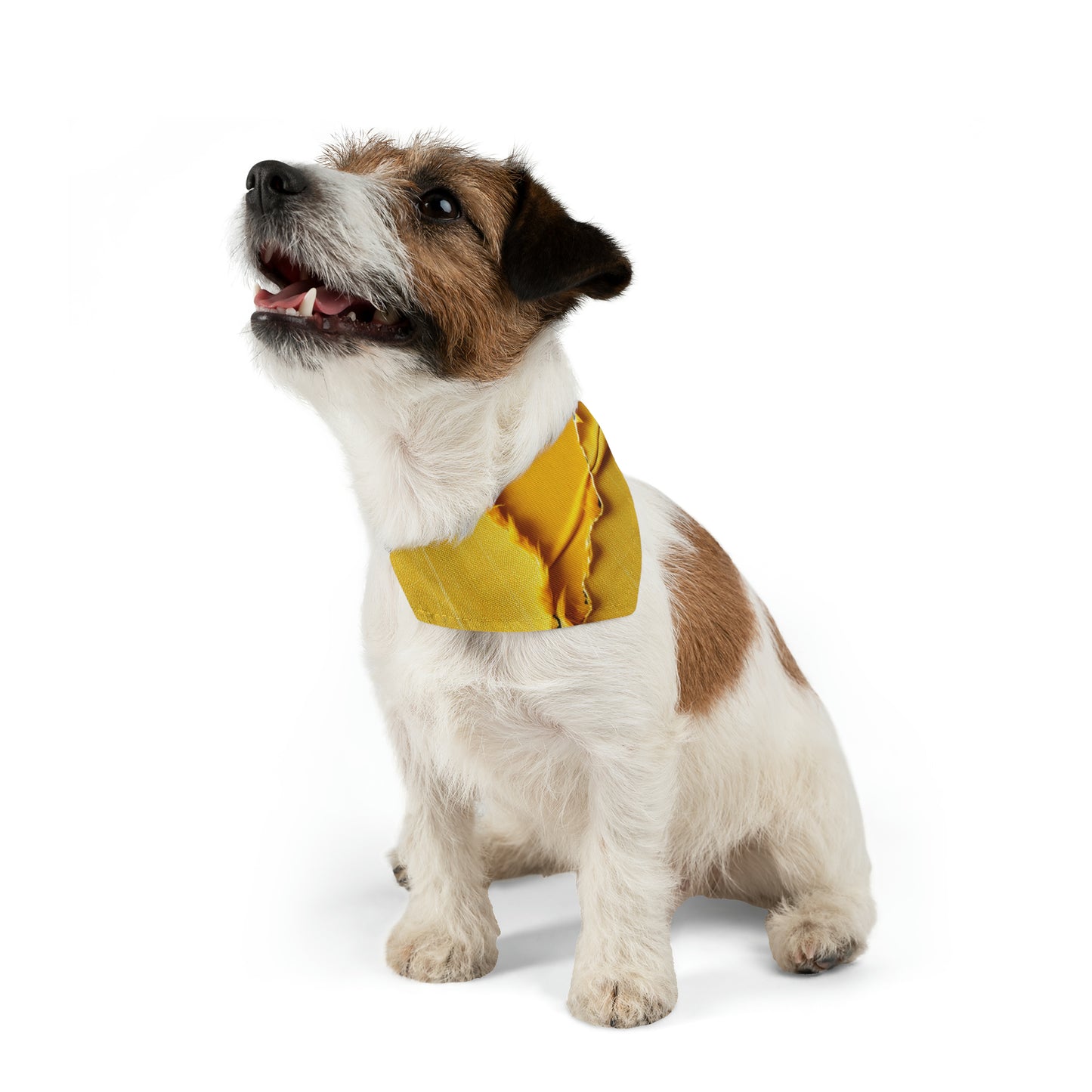 Banana Yellow Lemon: Bold Distressed, Denim-Inspired Fabric - Dog & Pet Bandana Collar