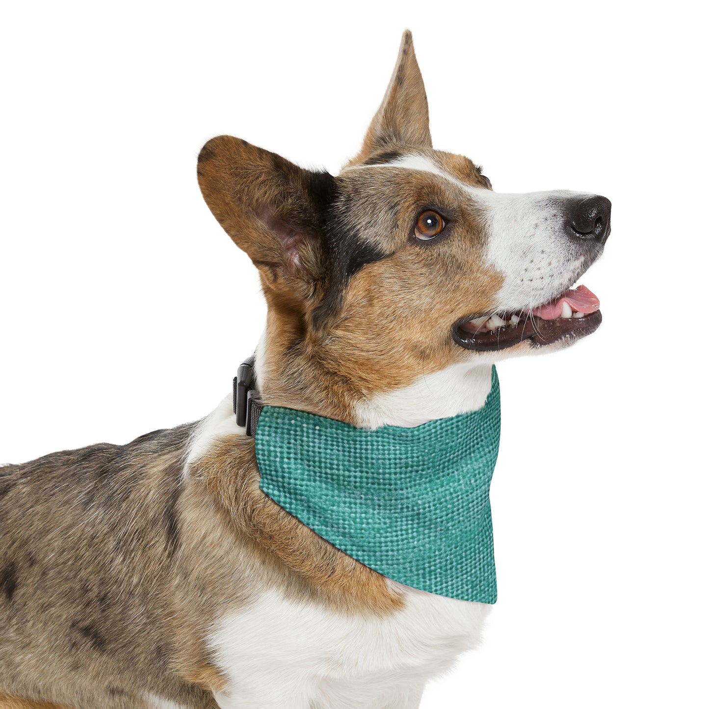 Diseño de tela vaquera color turquesa menta de calidad, material elegante, collar tipo bandana para mascotas 