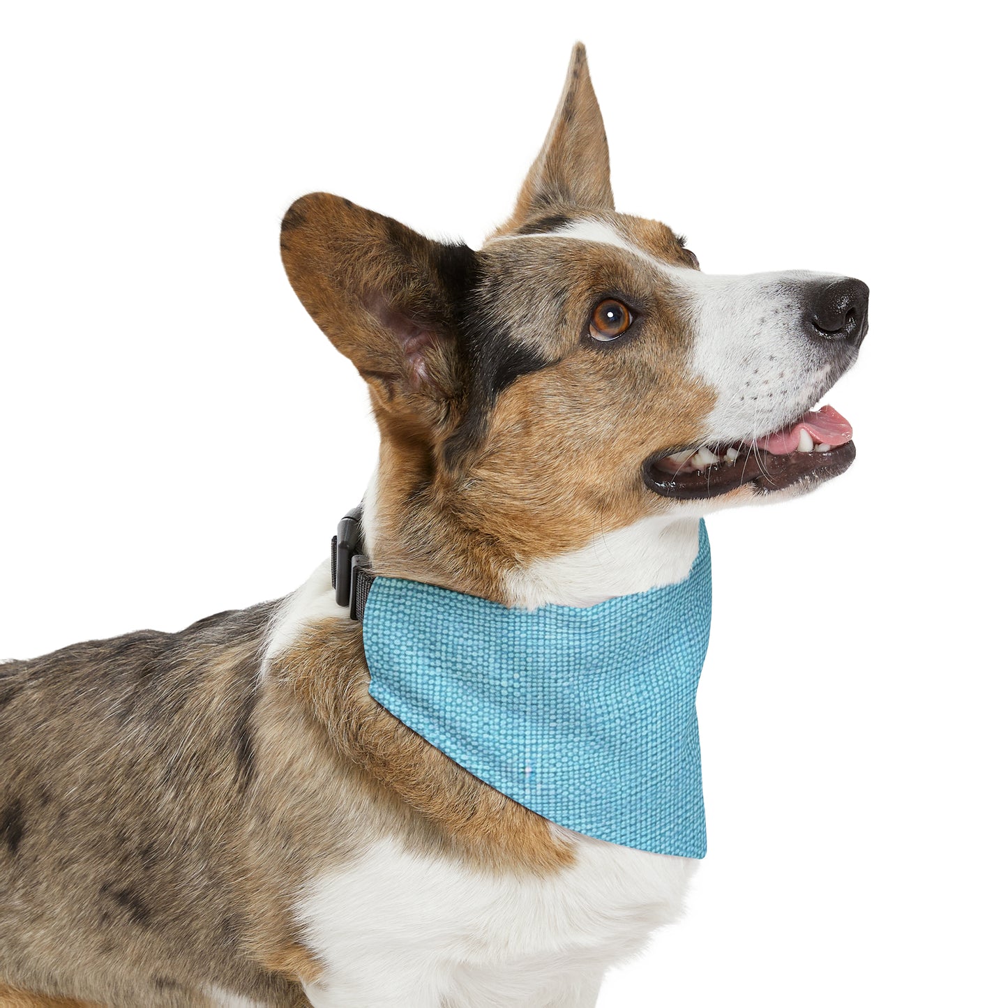 Bright Aqua Teal: Denim-Inspired Refreshing Blue Summer Fabric - Dog & Pet Bandana Collar