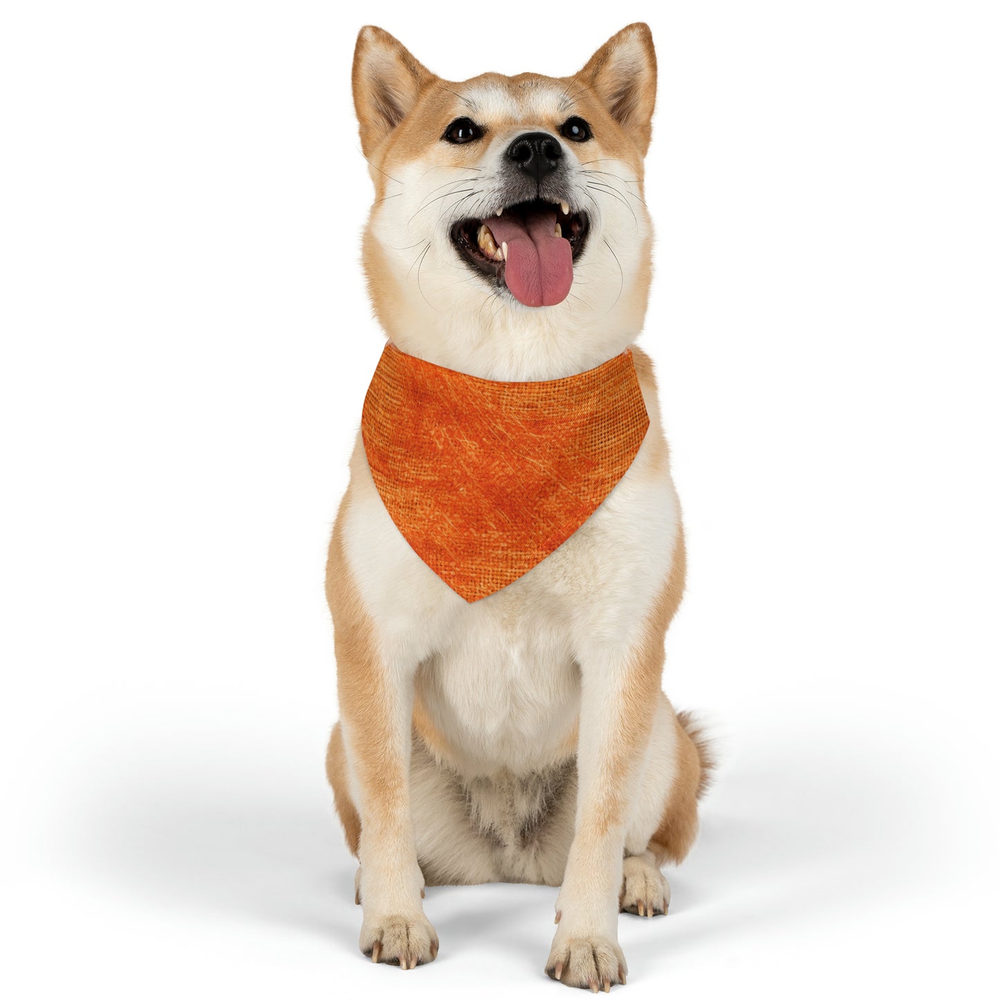 Burnt Orange/Rust: Denim-Inspired Autumn Fall Color Fabric - Pet Bandana Collar