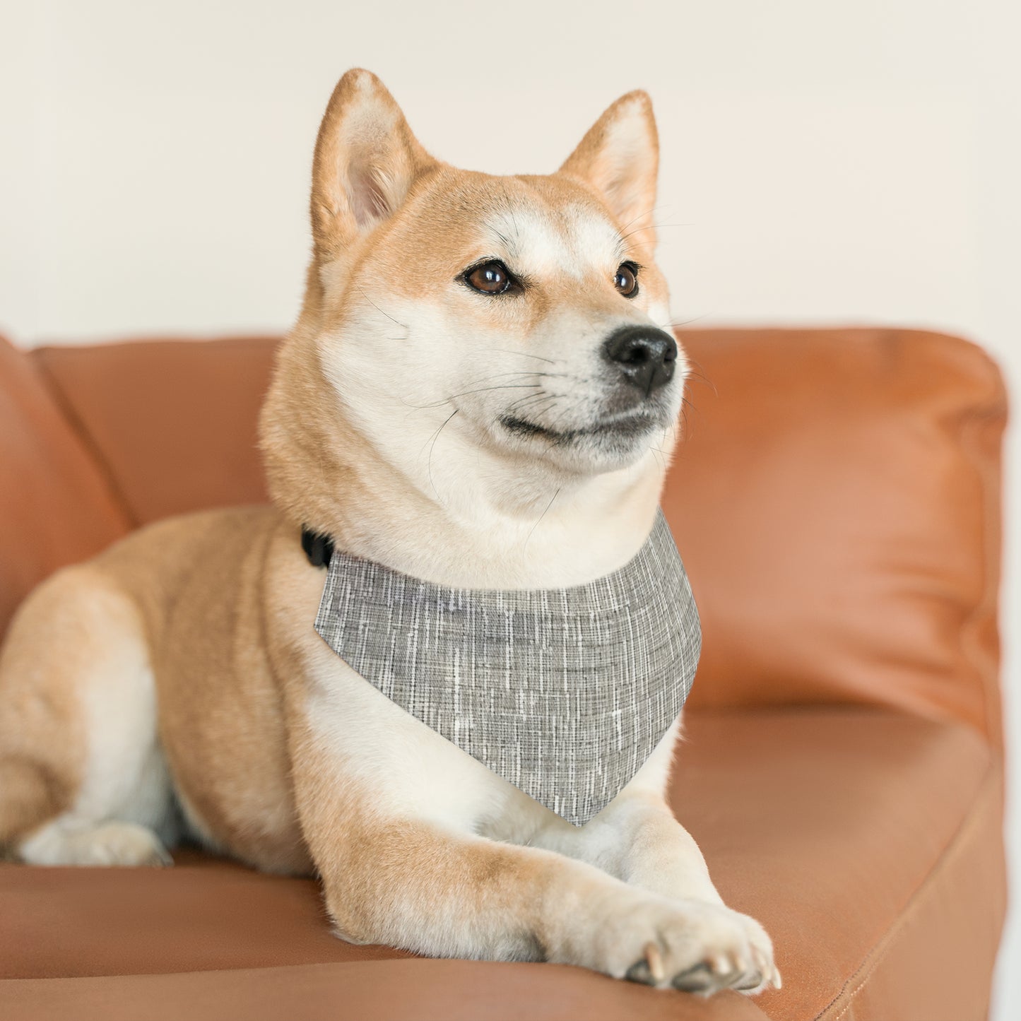 Silver Grey: Denim-Inspired, Contemporary Fabric Design - Dog & Pet Bandana Collar