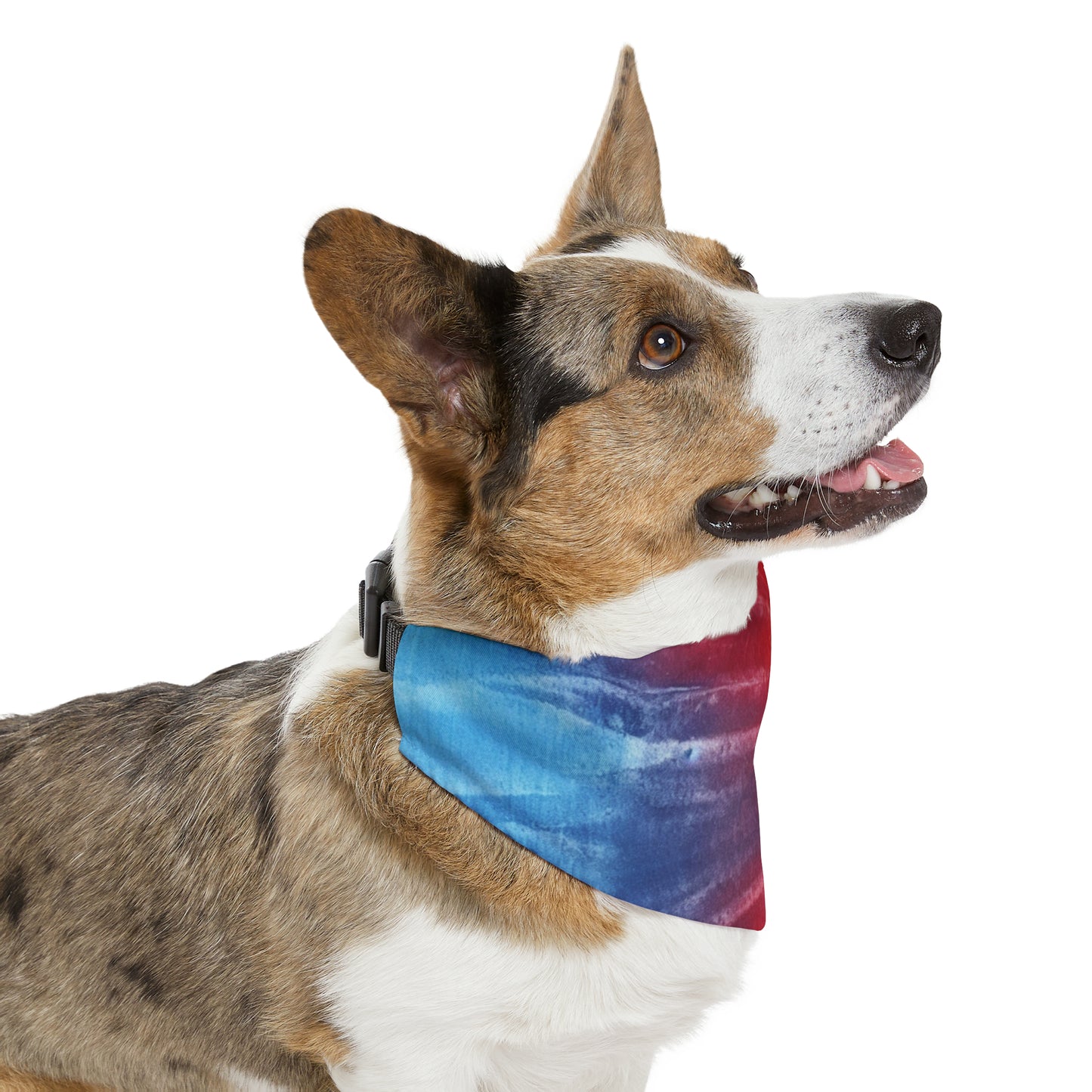 Rainbow Tie-Dye Denim: Vibrant Multi-Color, Fabric Design Spectacle - Dog & Pet Bandana Collar