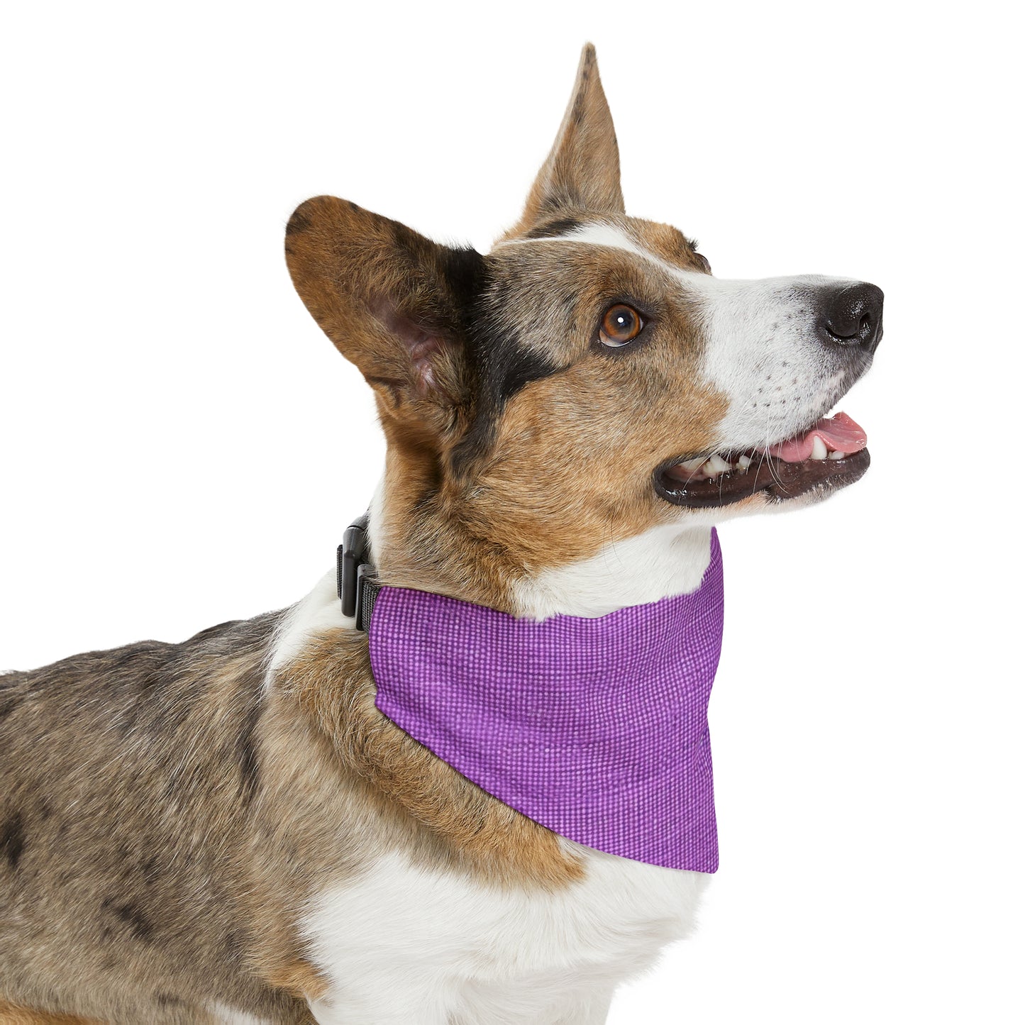 Hyper Iris Orchid Red: Denim-Inspired, Bold Style - Pet Bandana Collar