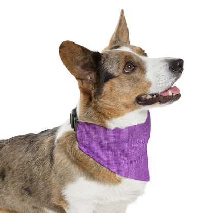 Hyper Iris Orchid Red: Denim-Inspired, Bold Style - Pet Bandana Collar