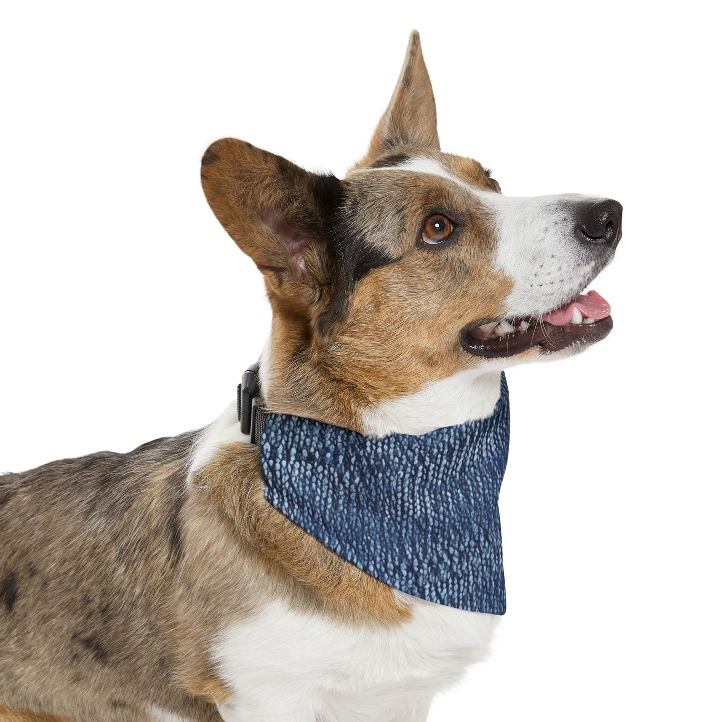 Indigo blue jean Denim Design Pattern Style - Pet Bandana Collar