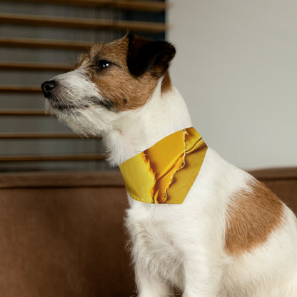 Banana Yellow Lemon: Bold Distressed, Denim-Inspired Fabric - Dog & Pet Bandana Collar