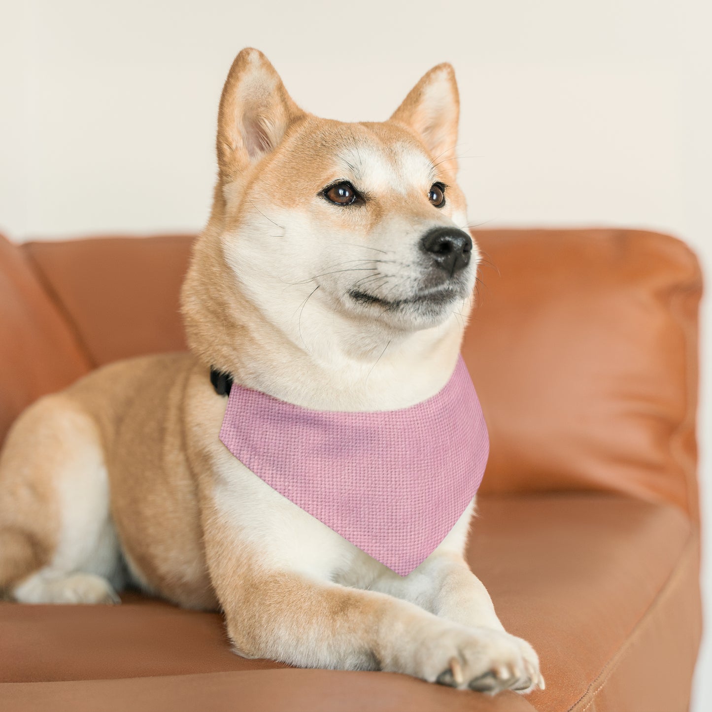 Blushing Garment Dye Pink: Denim-Inspired, Soft-Toned Fabric - Pet Bandana Collar