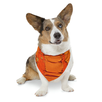 Fiery Citrus Orange: Edgy Distressed, Denim-Inspired Fabric - Dog & Pet Bandana Collar