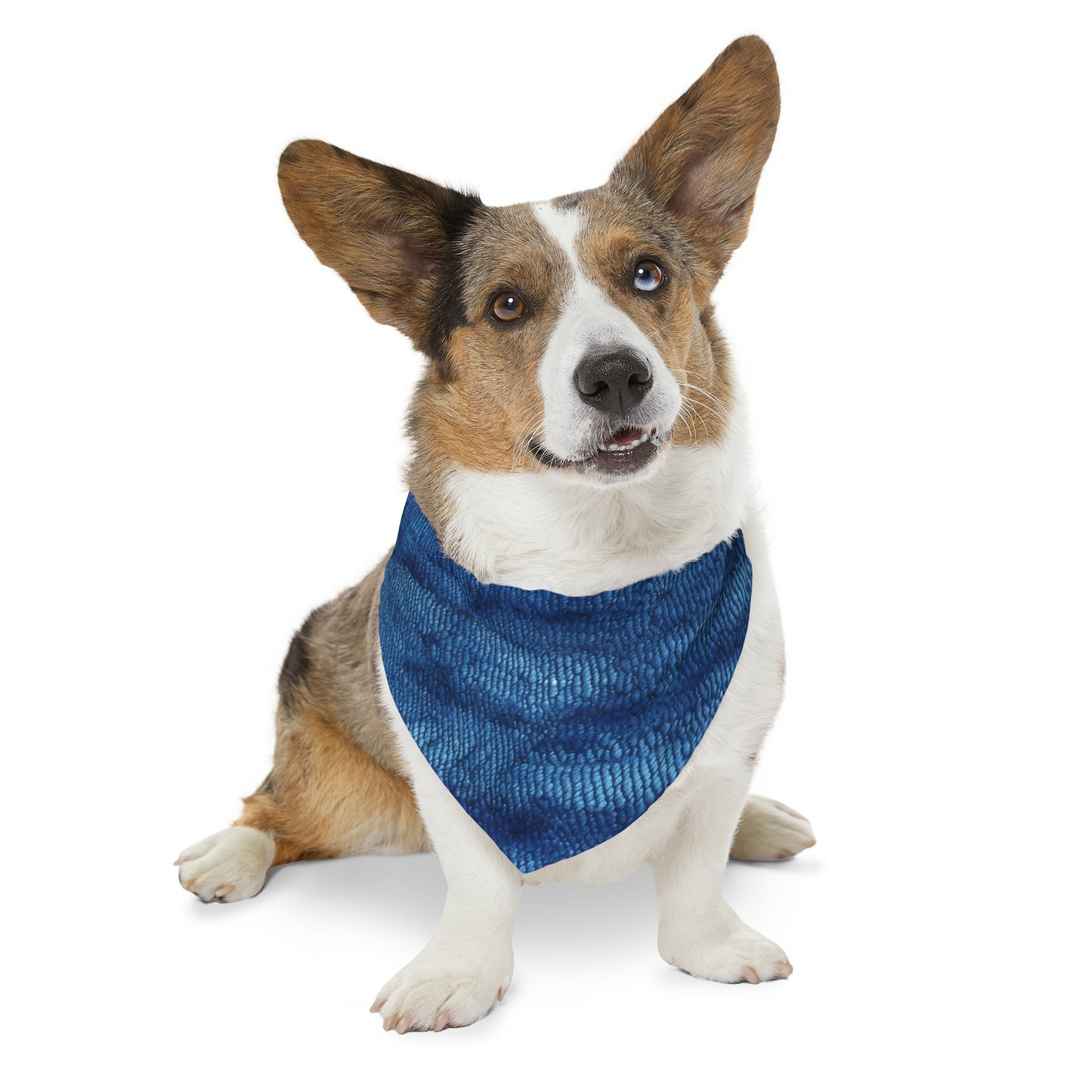 Blue Spectrum: Denim-Inspired Fabric Light to Dark - Dog & Pet Bandana Collar