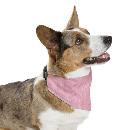 Blushing Garment Dye Pink: Denim-Inspired, Soft-Toned Fabric - Pet Bandana Collar