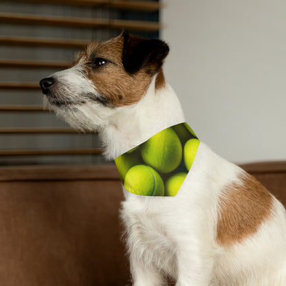 Tennis Ball Sport: Athlete Court Action, Rally & Serve - Dog & Pet Bandana Collar