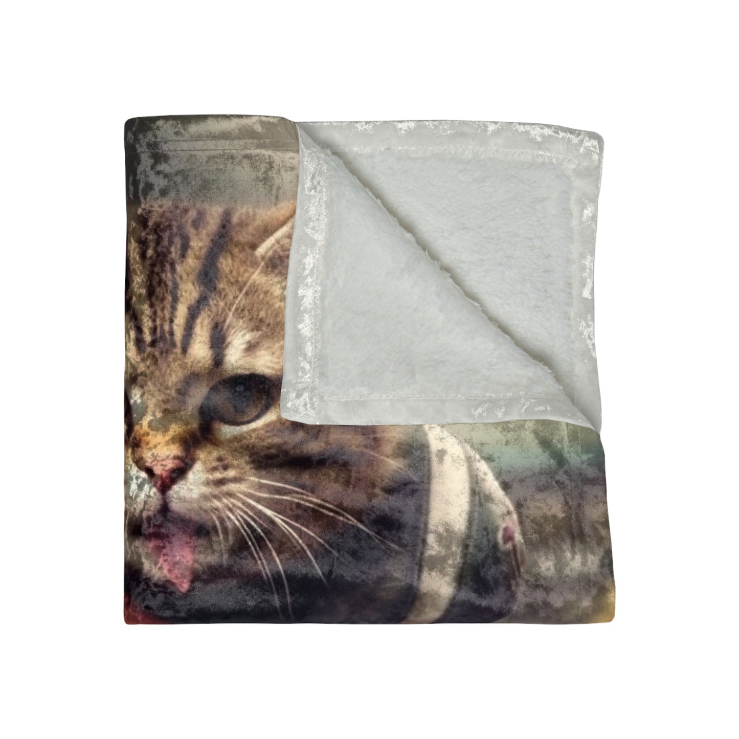 Football Field Felines: Kitty Cats in Sport Tackling Scoring Game Position - Crushed Velvet Blanket