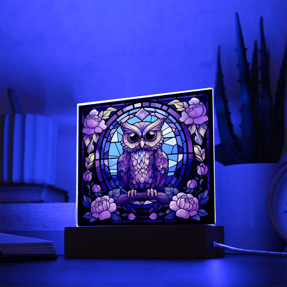 Kawaii Owl Bird, Faux Stained Glass, Light up, Square Acrylic Plaque