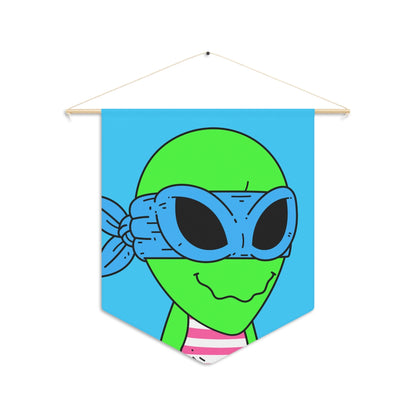 Blue Ninja Superhero Striped Shirt Alien Green Visitor Pennant