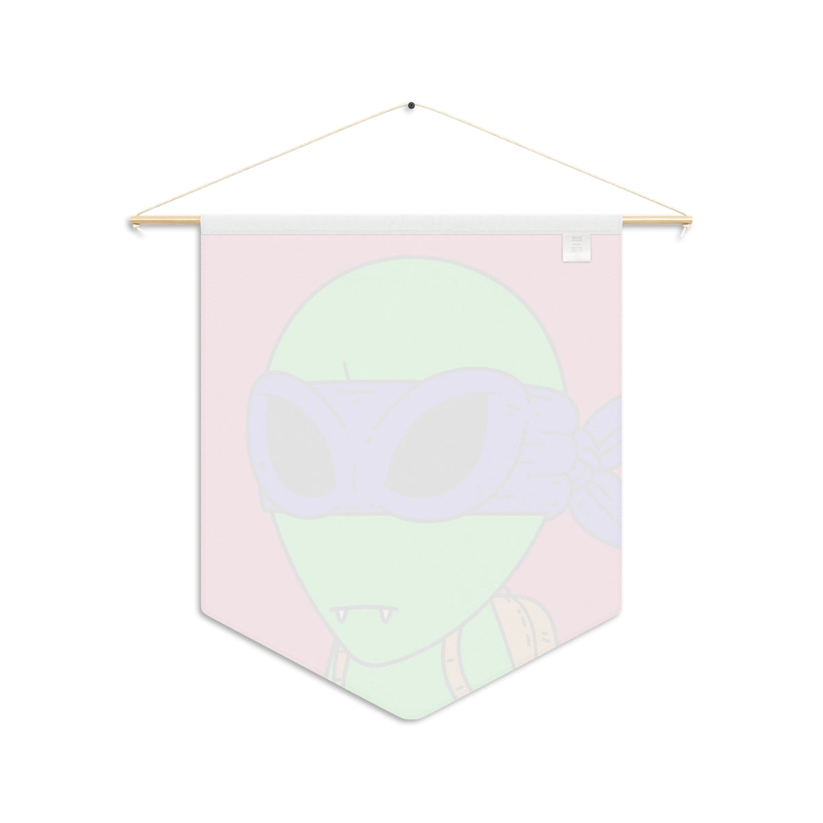 Green Ninja Turtle Visitor Alien Pennant