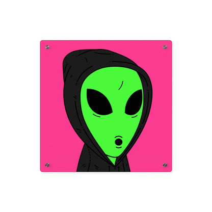 Anonymous Anon Alien Visitor Acrylic Wall Art Panels