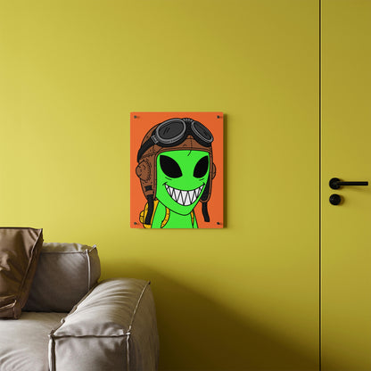 Air Force Aviator Alien Acrylic Wall Art Panels