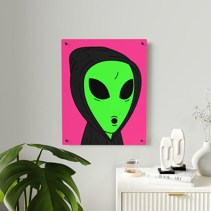 Anonymous Anon Alien Visitor Acrylic Wall Art Panels