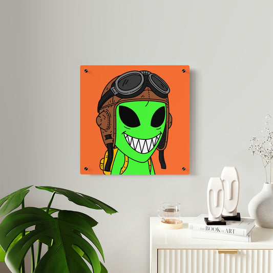 Air Force Aviator Alien Acrylic Wall Art Panels