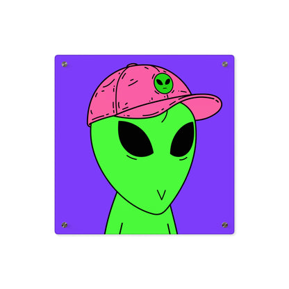 Green Alien V Face Pink Visi hat Visitor Acrylic Wall Art Panels