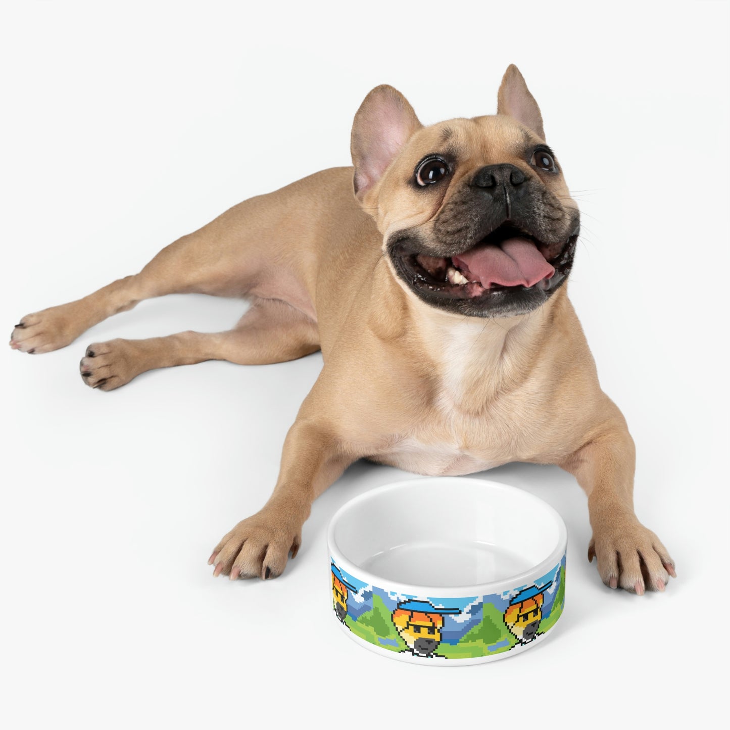 Dog Travel Adventure Animal Pet Bowl