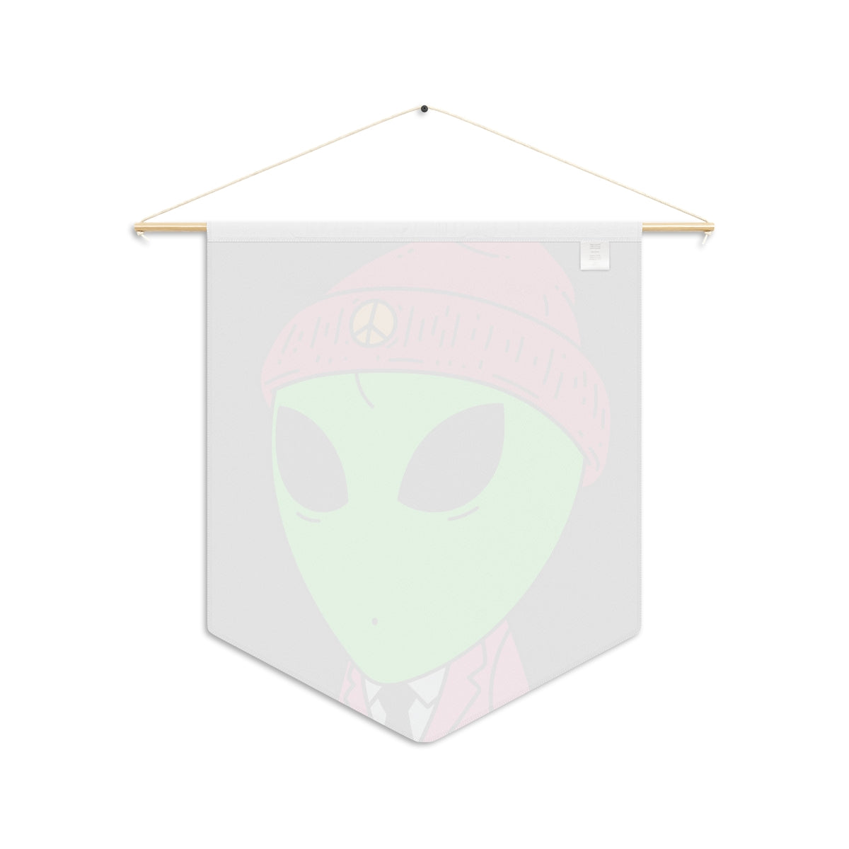 Pink Peace Hat Suit Green Alien Visitor Pennant