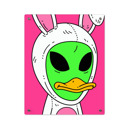 Duck Bunny Alien Acrylic Wall Art Panels